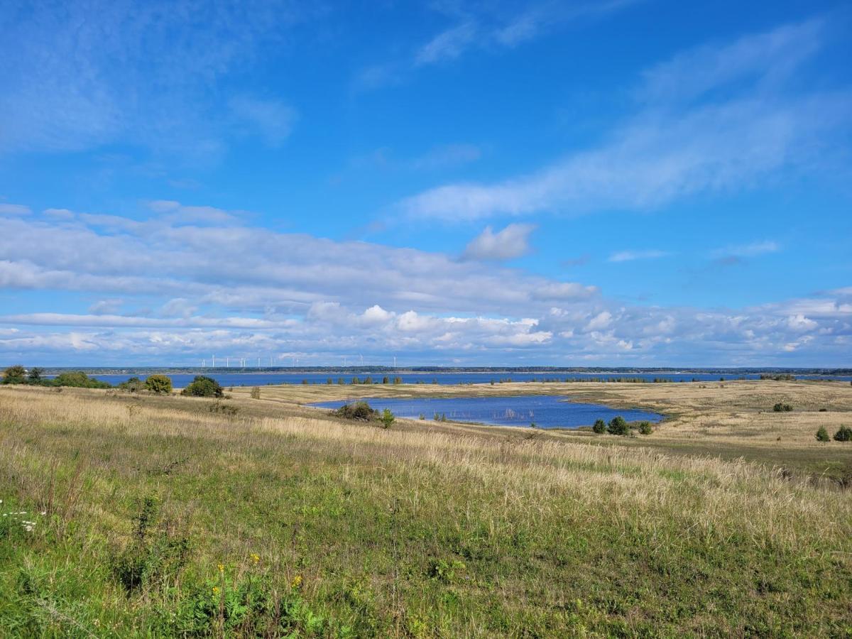 Ferienwohnung Seeblick Lausitzer Seenland Grossraschen Bagian luar foto